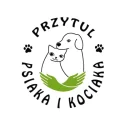 przytul-psiaka-i-kociaka.webp