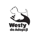 westy-do-adopcji.webp